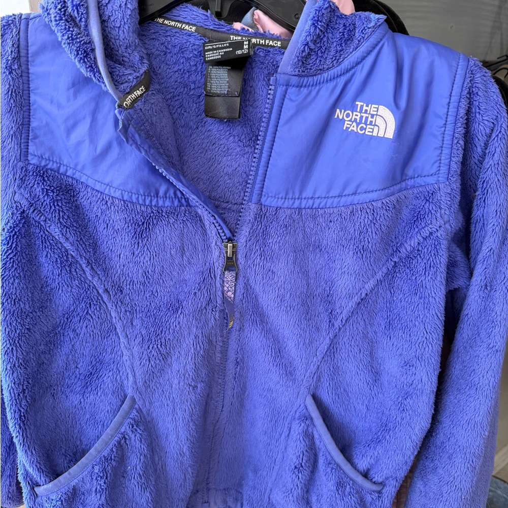 The North Face Blue Fleece Jacket
